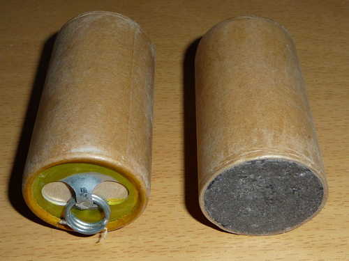 ros 40 zluta svetlice