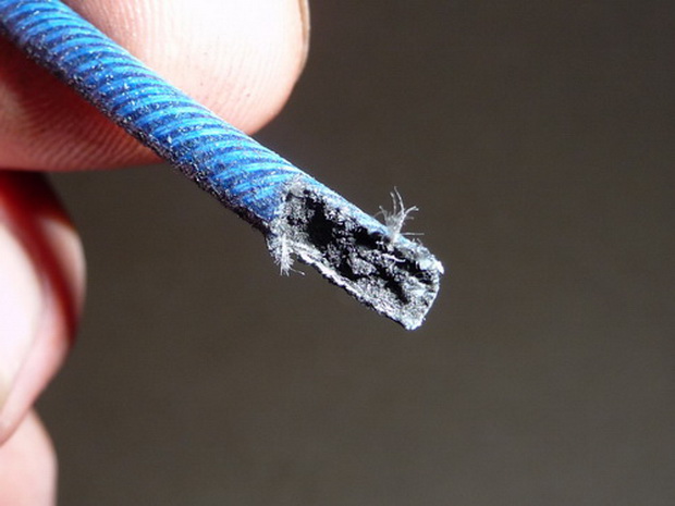 stopina modra nariznuta